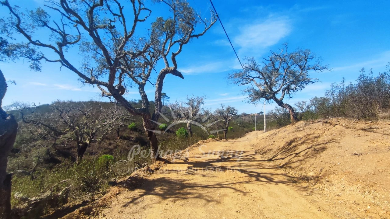 Terreno Agricola ou Rústico para Venda em Santiago do Cacém, Santa Cruz e São Bartolomeu da Serra Foto 18