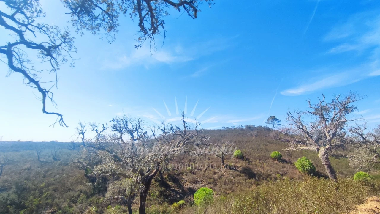 Terreno Agricola ou Rústico para Venda em Santiago do Cacém, Santa Cruz e São Bartolomeu da Serra Foto 21