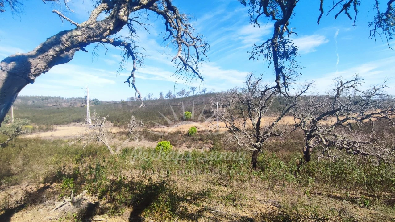 Terreno Agricola ou Rústico para Venda em Santiago do Cacém, Santa Cruz e São Bartolomeu da Serra Foto 25