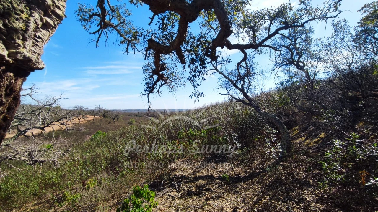 Terreno Agricola ou Rústico para Venda em Santiago do Cacém, Santa Cruz e São Bartolomeu da Serra Foto 26
