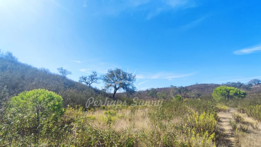Terreno Agricola ou Rústico para Venda em Santiago do Cacém, Santa Cruz e São Bartolomeu da Serra Foto 6