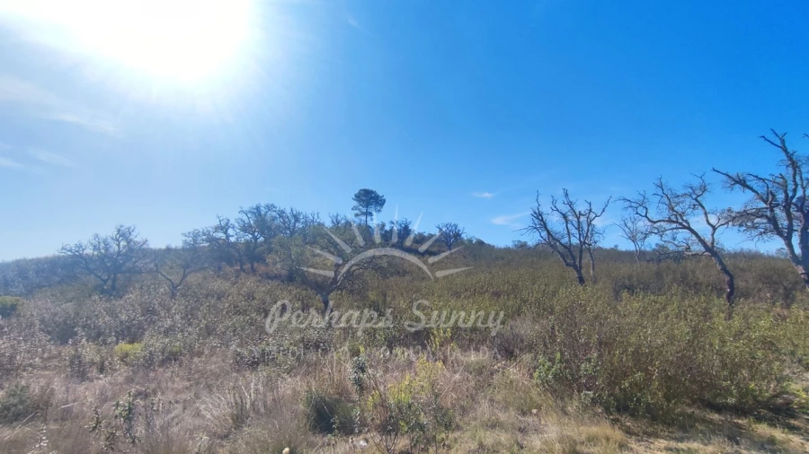 Terreno Agricola ou Rústico para Venda em Santiago do Cacém, Santa Cruz e São Bartolomeu da Serra Foto 7