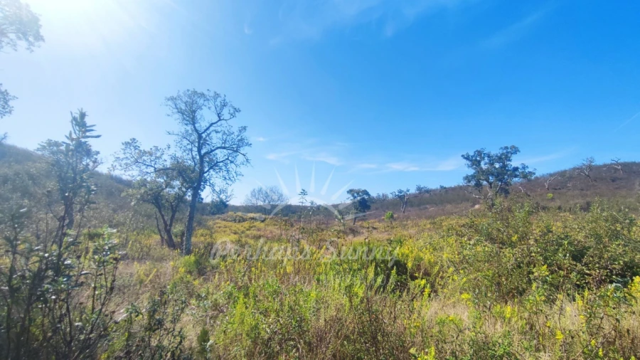 Terreno Agricola ou Rústico para Venda em Santiago do Cacém, Santa Cruz e São Bartolomeu da Serra Foto 14