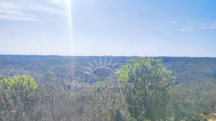 Terreno Agricola ou Rústico para Venda em Santiago do Cacém, Santa Cruz e São Bartolomeu da Serra Foto 15