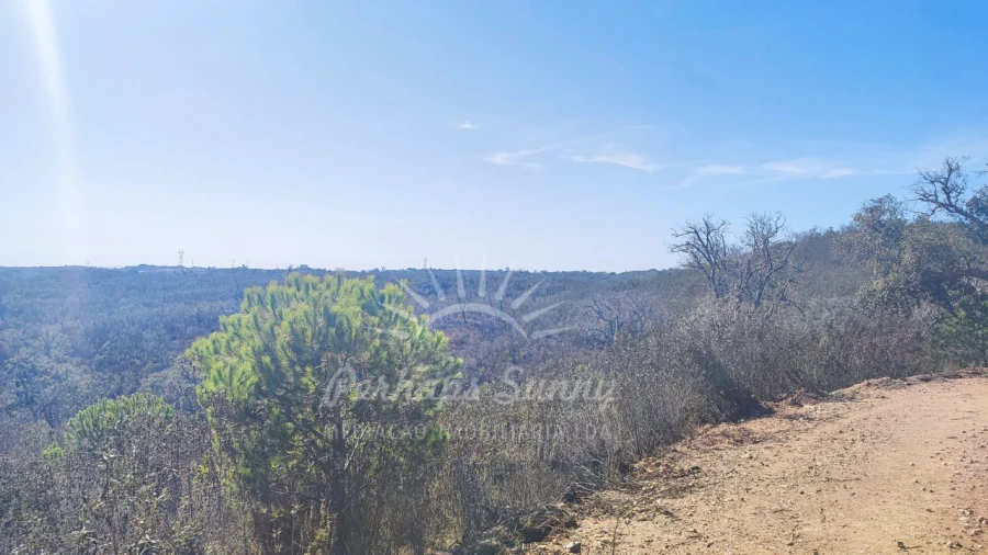 Terreno Agricola ou Rústico para Venda em Santiago do Cacém, Santa Cruz e São Bartolomeu da Serra Foto 16