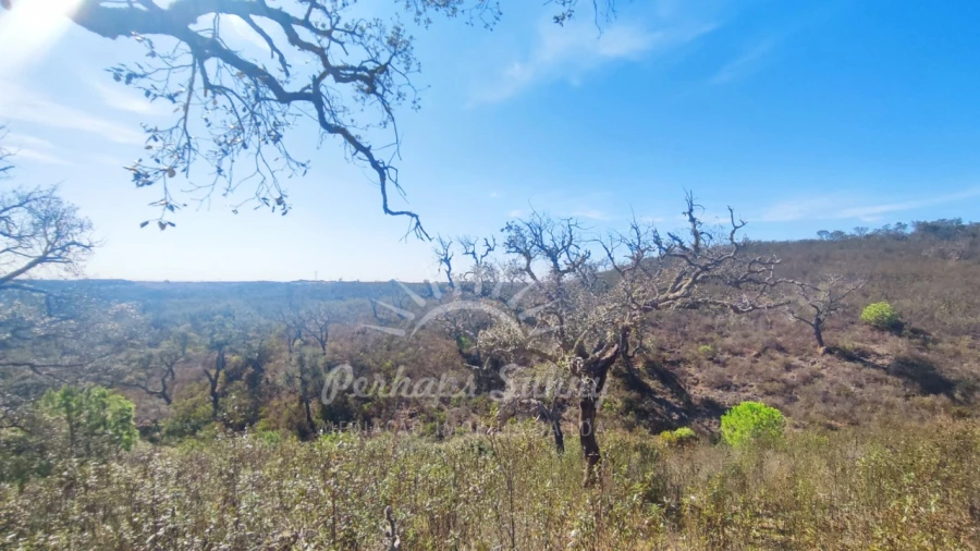 Terreno Agricola ou Rústico para Venda em Santiago do Cacém, Santa Cruz e São Bartolomeu da Serra Foto 19