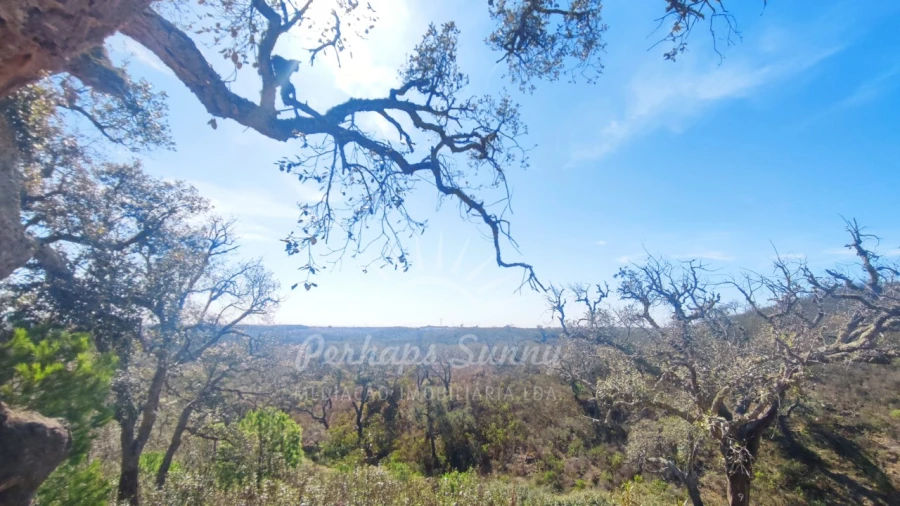 Terreno Agricola ou Rústico para Venda em Santiago do Cacém, Santa Cruz e São Bartolomeu da Serra Foto 22