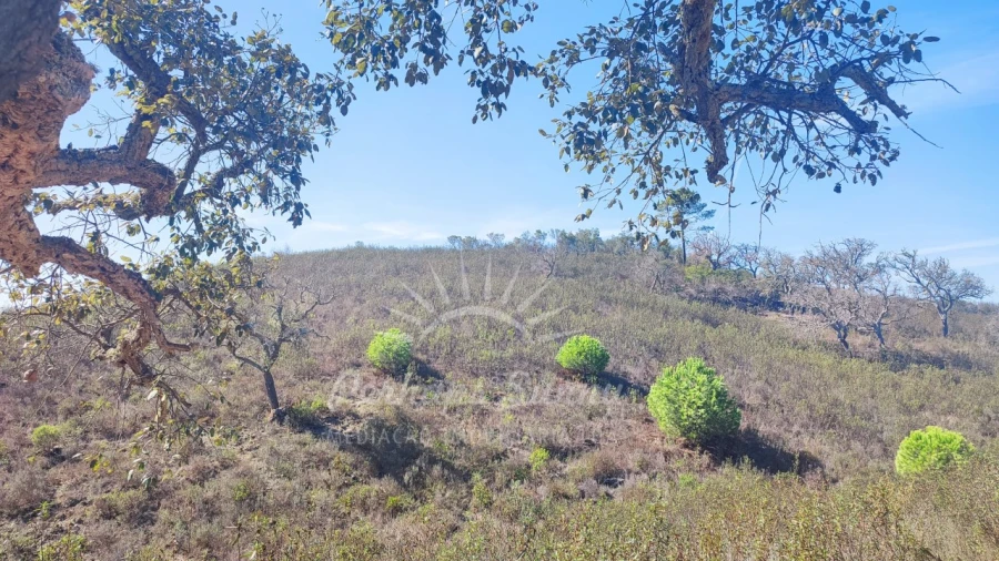 Terreno Agricola ou Rústico para Venda em Santiago do Cacém, Santa Cruz e São Bartolomeu da Serra Foto 23