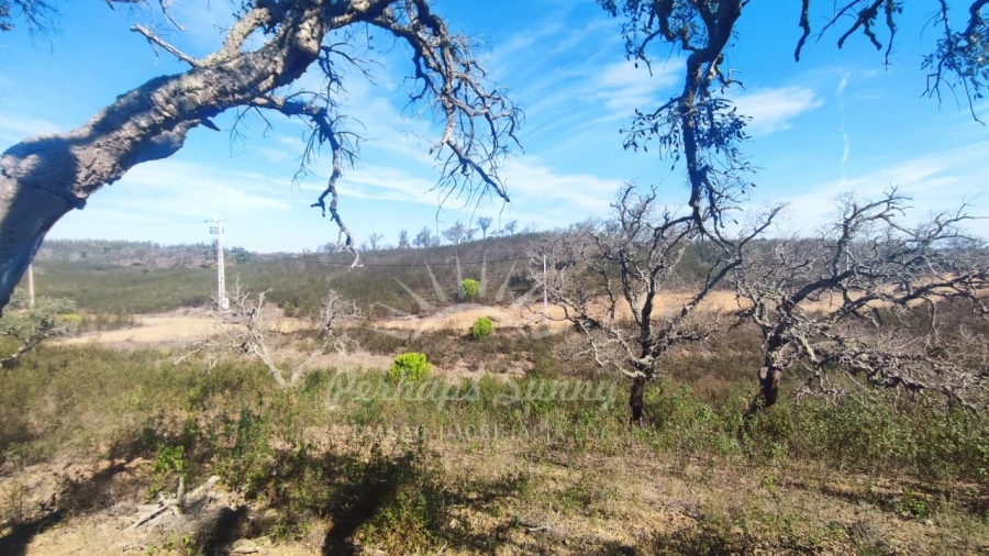 Terreno Agricola ou Rústico para Venda em Santiago do Cacém, Santa Cruz e São Bartolomeu da Serra Foto 25