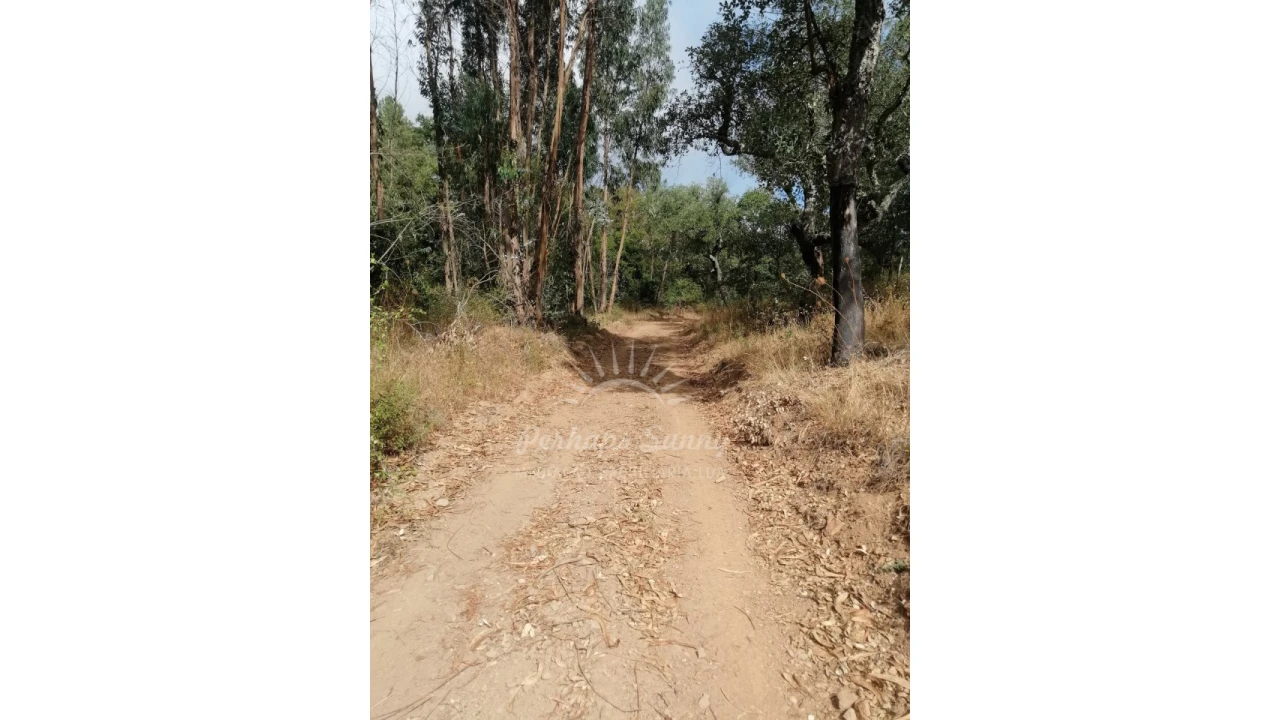 Terreno Agricola ou Rústico para Venda em Grândola e Santa Margarida da Serra Foto 11