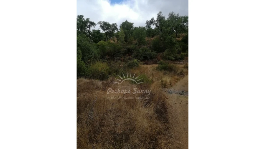 Terreno Agricola ou Rústico para Venda em Grândola e Santa Margarida da Serra Foto 10