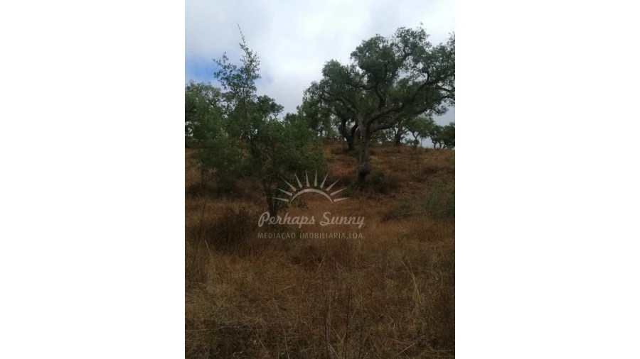 Terreno Agricola ou Rústico para Venda em Grândola e Santa Margarida da Serra Foto 5