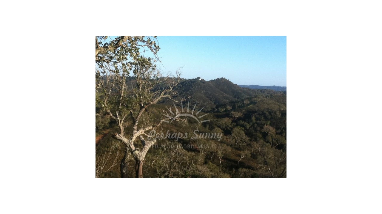 Quinta T1 para Venda em Colos Foto 1