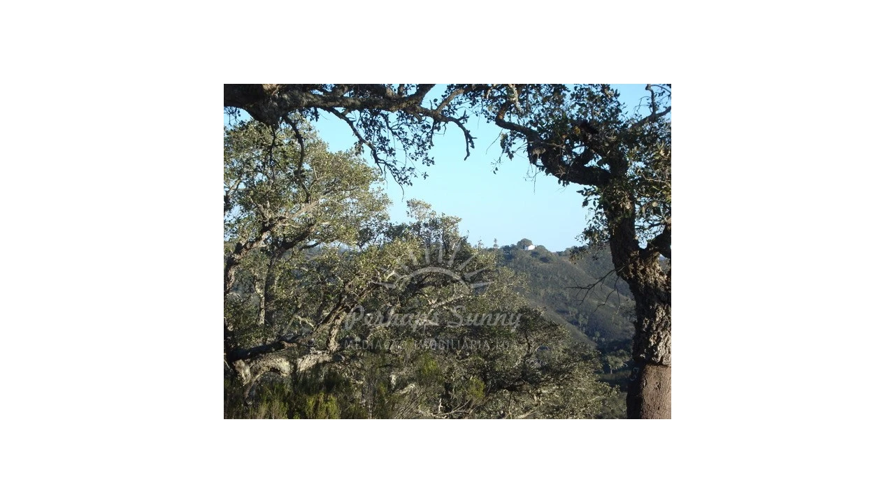 Quinta T1 para Venda em Colos Foto 2