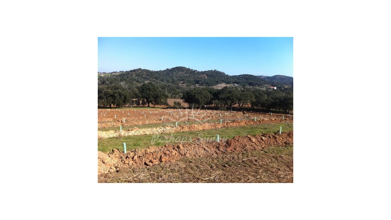 Quinta T1 para Venda em Colos Foto 4