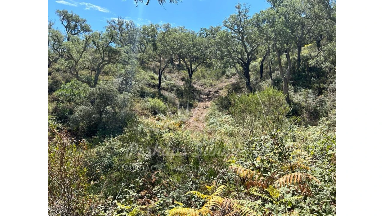 Quinta T1 para Venda em Colos Foto 8