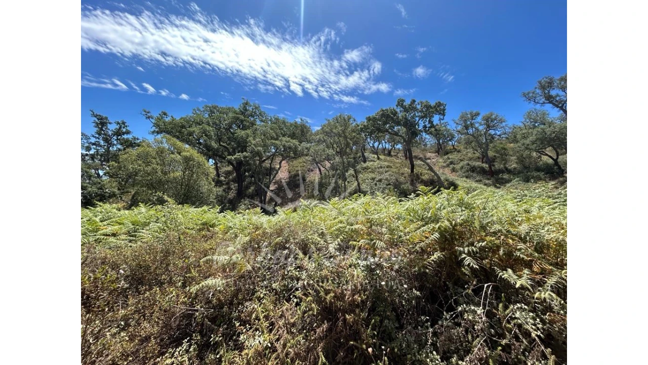 Quinta T1 para Venda em Colos Foto 9