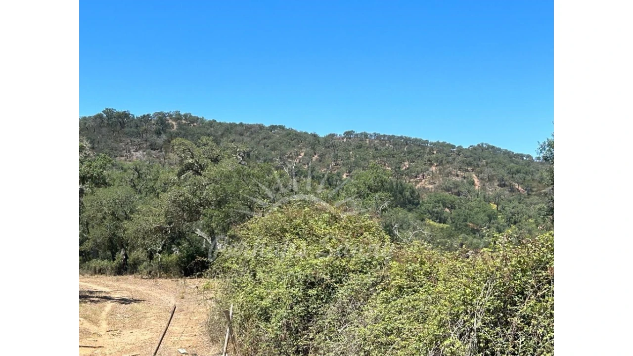 Quinta T1 para Venda em Colos Foto 10