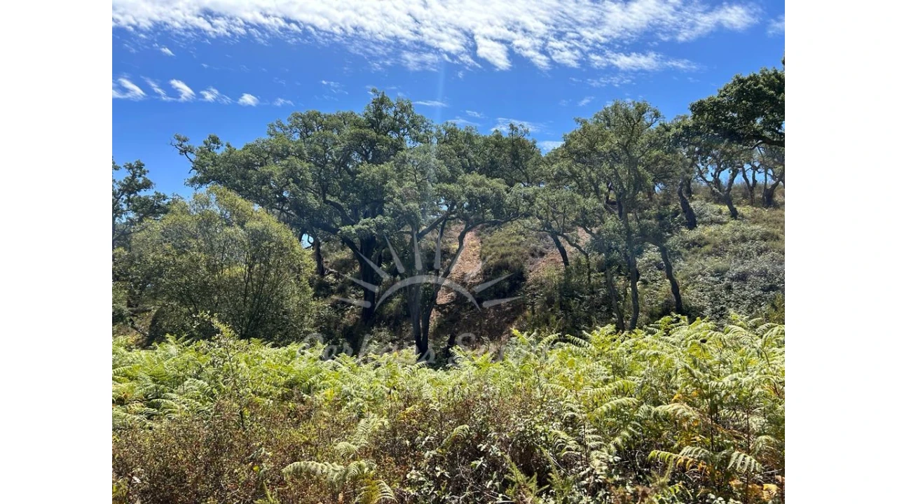 Quinta T1 para Venda em Colos Foto 11