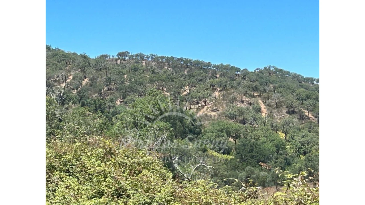 Quinta T1 para Venda em Colos Foto 12