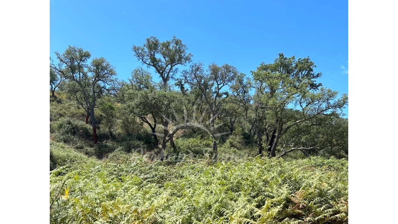 Quinta T1 para Venda em Colos Foto 13