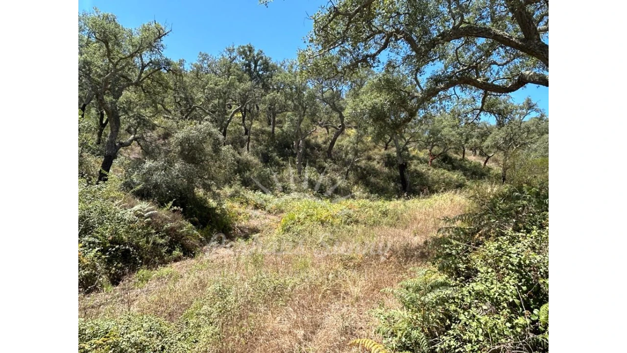 Quinta T1 para Venda em Colos Foto 16