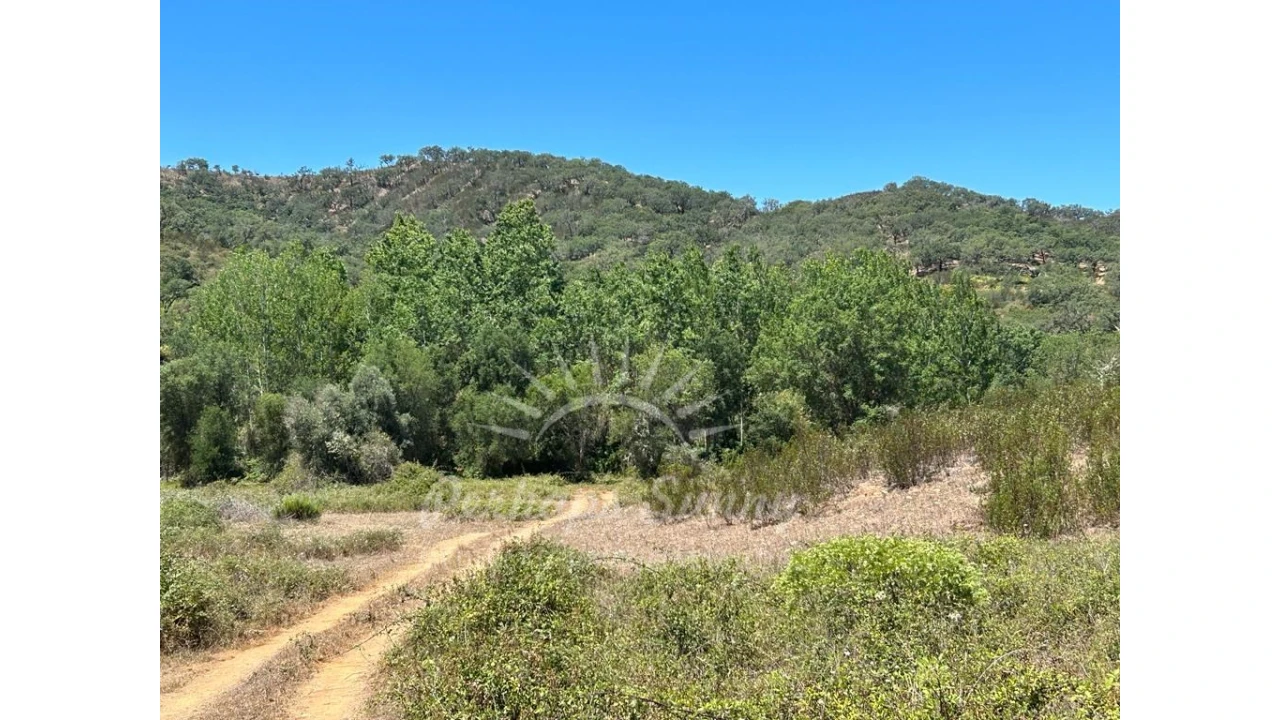 Quinta T1 para Venda em Colos Foto 22