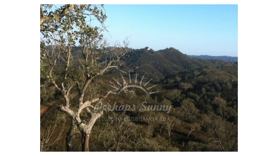 Quinta T1 para Venda em Colos Foto 1