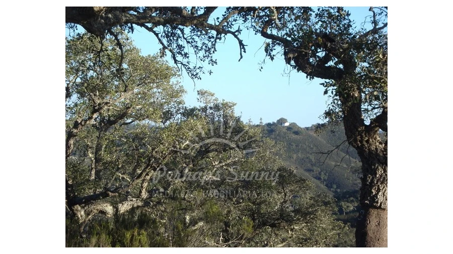 Quinta T1 para Venda em Colos Foto 2