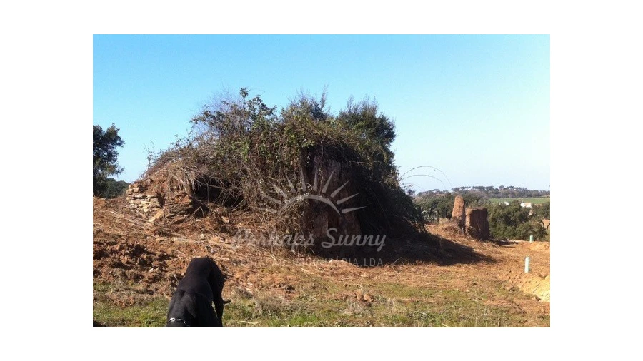 Quinta T1 para Venda em Colos Foto 5