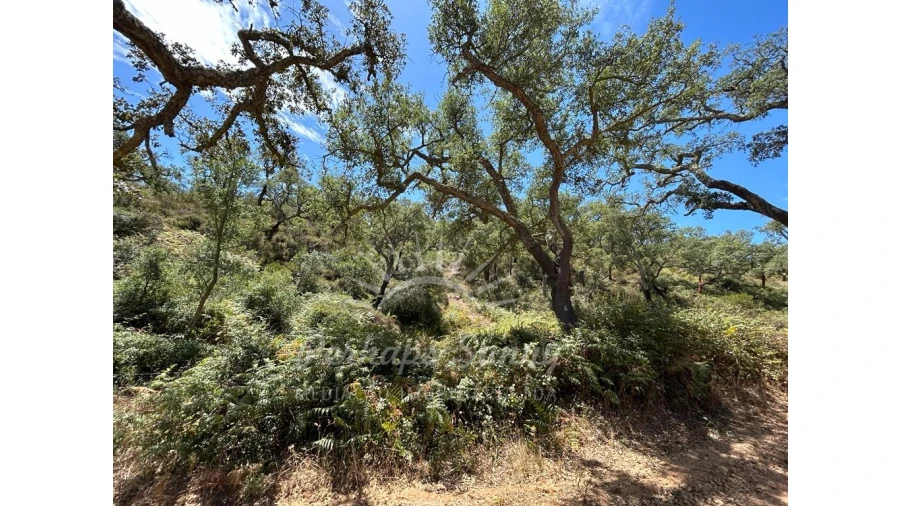 Quinta T1 para Venda em Colos Foto 7