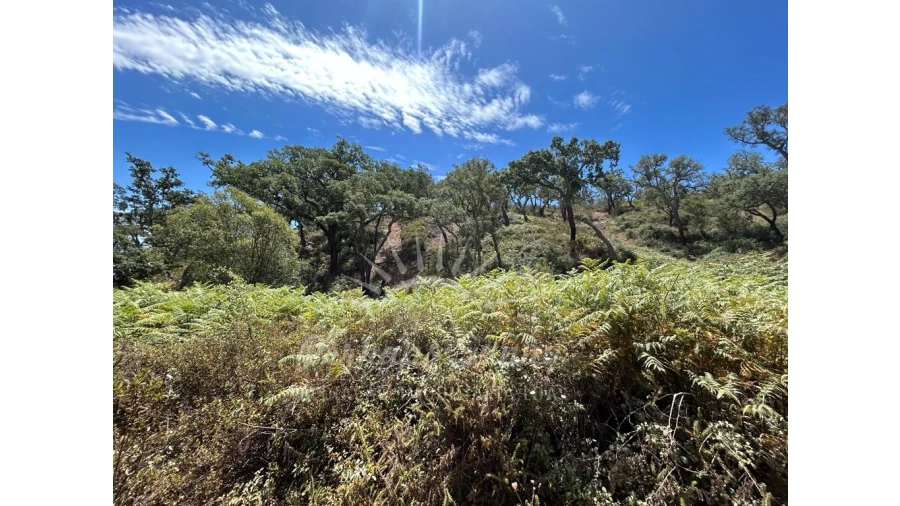 Quinta T1 para Venda em Colos Foto 9