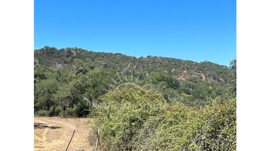 Quinta T1 para Venda em Colos Foto 10