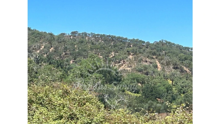 Quinta T1 para Venda em Colos Foto 12