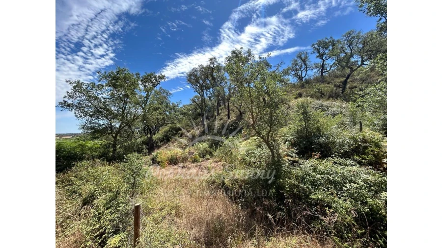 Quinta T1 para Venda em Colos Foto 14