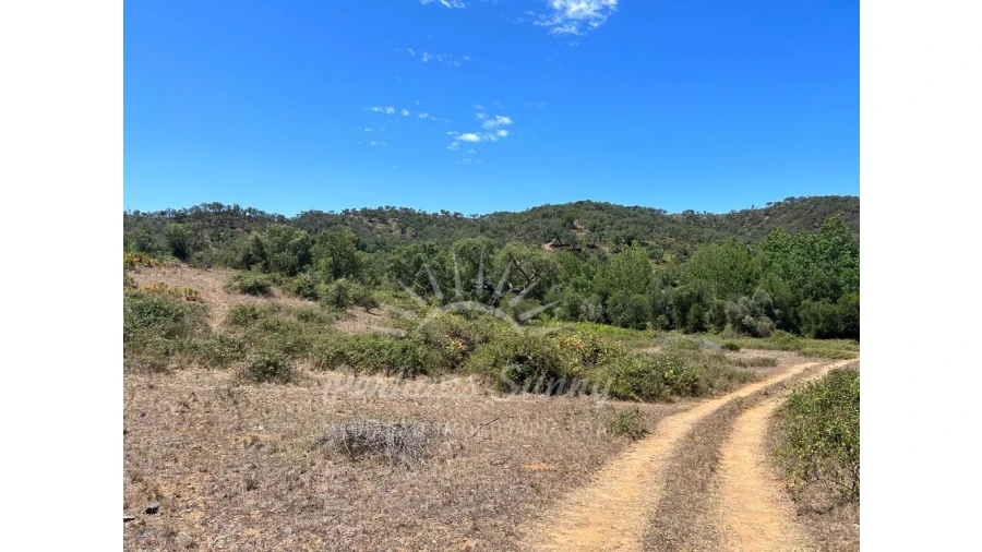 Quinta T1 para Venda em Colos Foto 17