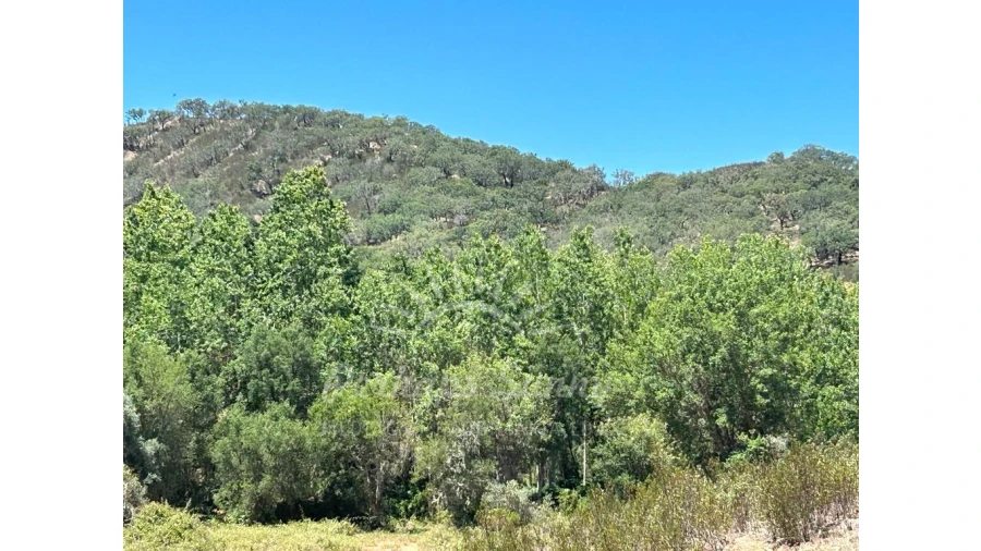 Quinta T1 para Venda em Colos Foto 19