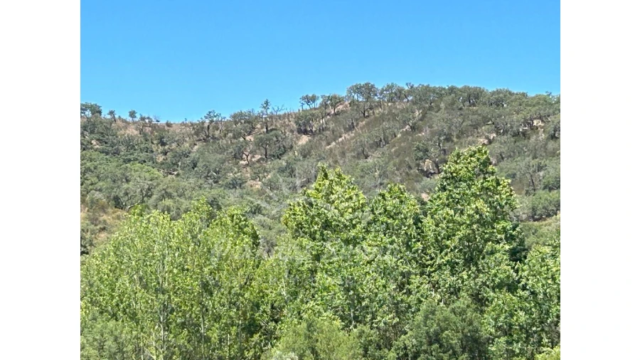 Quinta T1 para Venda em Colos Foto 20