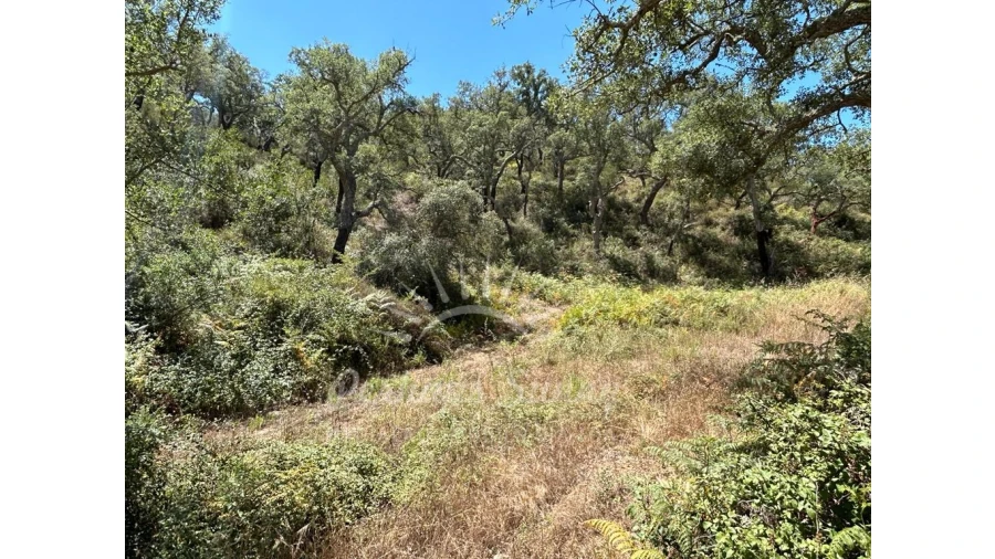 Quinta T1 para Venda em Colos Foto 21