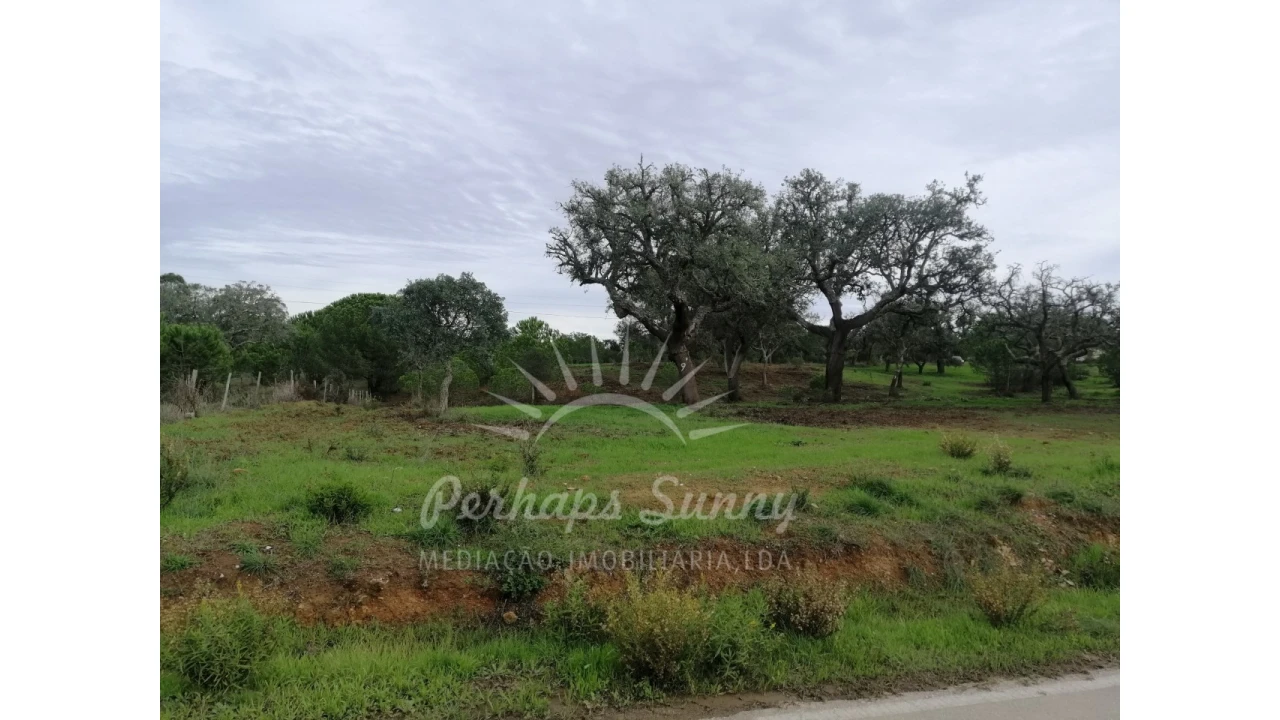 Terreno Agricola ou Rústico para Venda em Grândola e Santa Margarida da Serra Foto 5