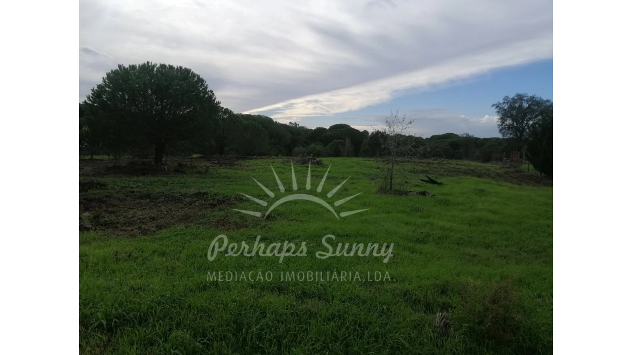 Terreno Agricola ou Rústico para Venda em Grândola e Santa Margarida da Serra Foto 6