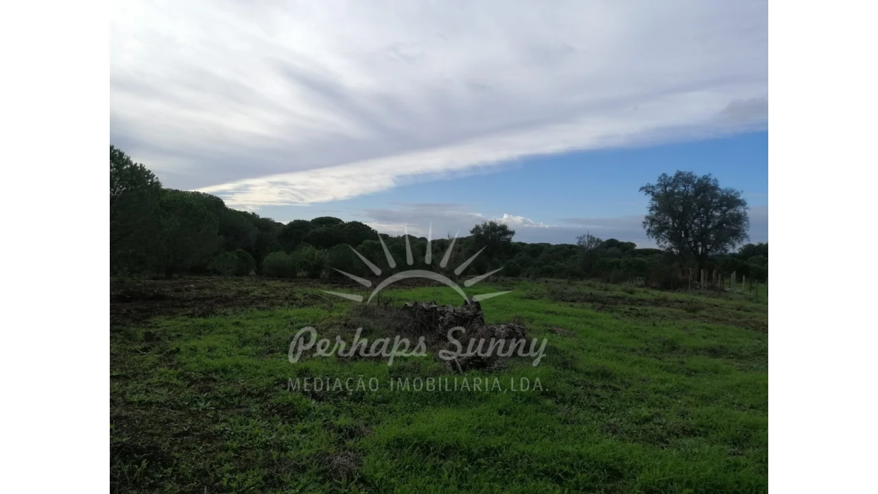 Terreno Agricola ou Rústico para Venda em Grândola e Santa Margarida da Serra Foto 8