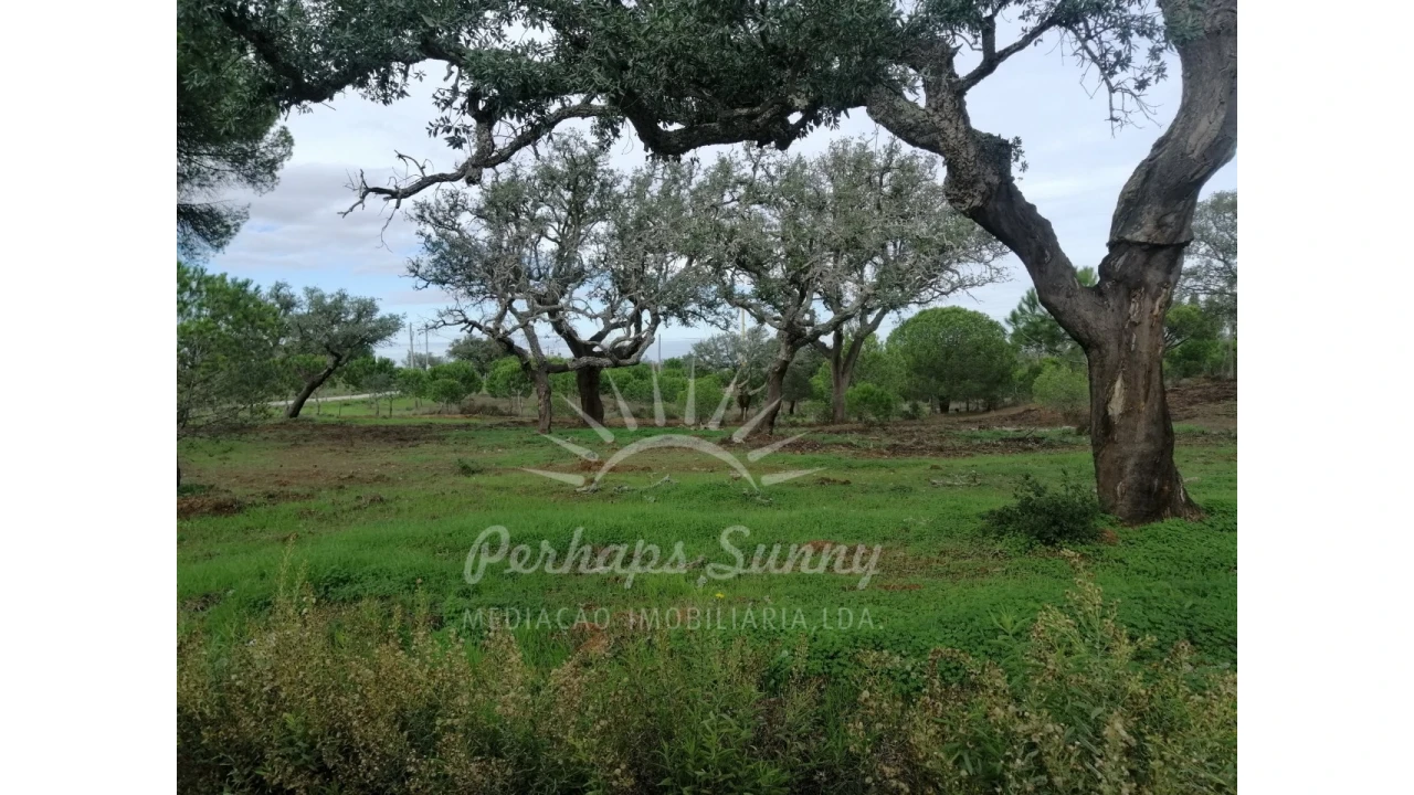 Terreno Agricola ou Rústico para Venda em Grândola e Santa Margarida da Serra Foto 10