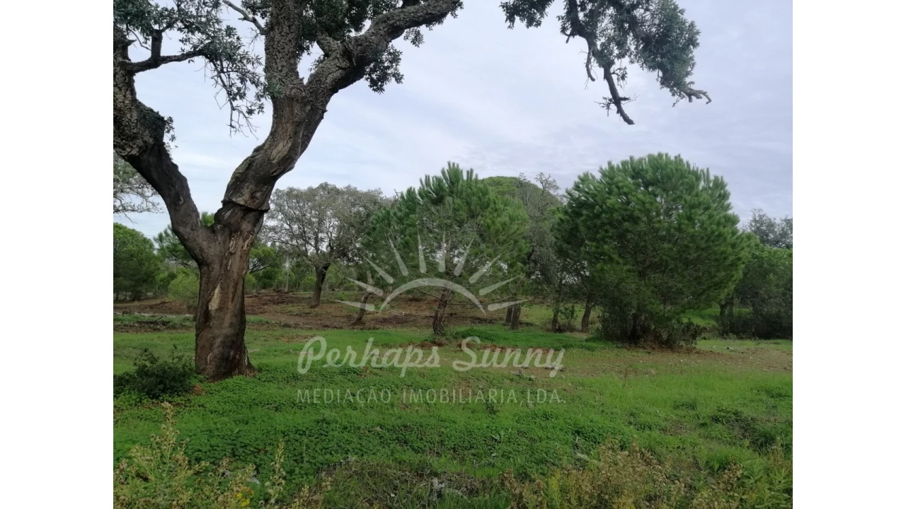 Terreno Agricola ou Rústico para Venda em Grândola e Santa Margarida da Serra Foto 11