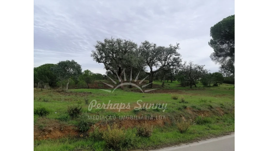 Terreno Agricola ou Rústico para Venda em Grândola e Santa Margarida da Serra Foto 1