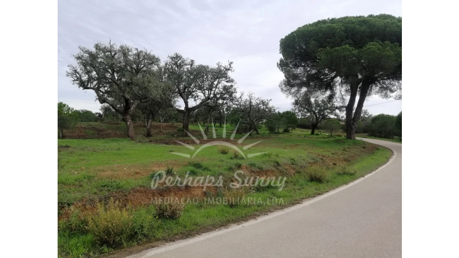 Terreno Agricola ou Rústico para Venda em Grândola e Santa Margarida da Serra Foto 2