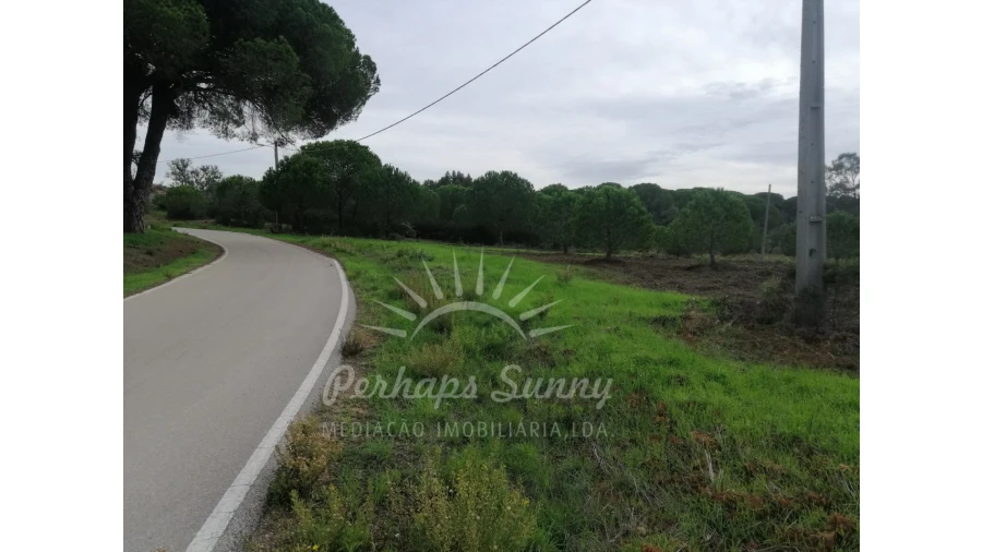 Terreno Agricola ou Rústico para Venda em Grândola e Santa Margarida da Serra Foto 3