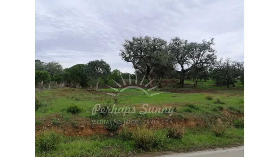 Terreno Agricola ou Rústico para Venda em Grândola e Santa Margarida da Serra Foto 5