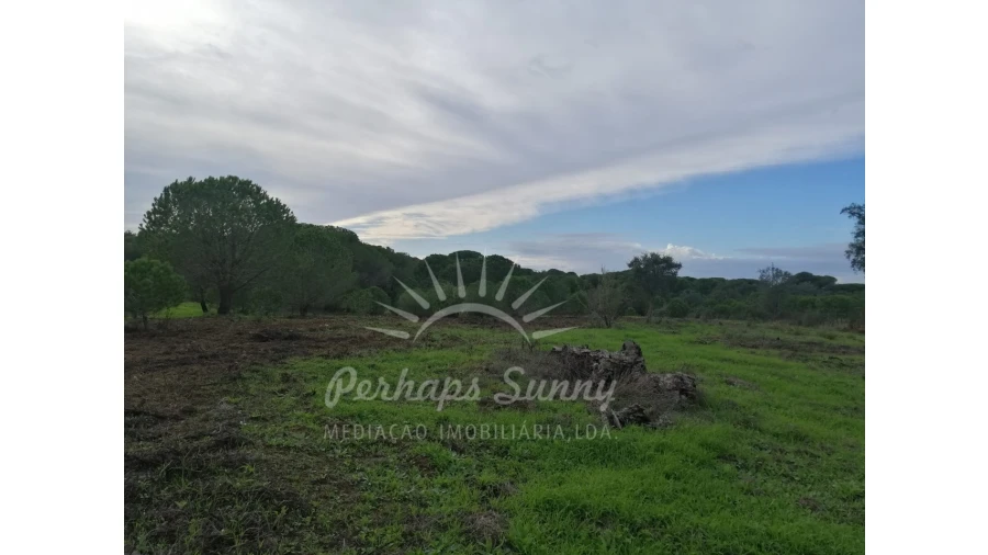 Terreno Agricola ou Rústico para Venda em Grândola e Santa Margarida da Serra Foto 7