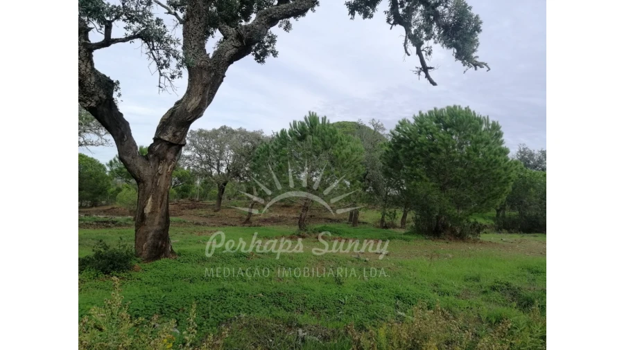 Terreno Agricola ou Rústico para Venda em Grândola e Santa Margarida da Serra Foto 11